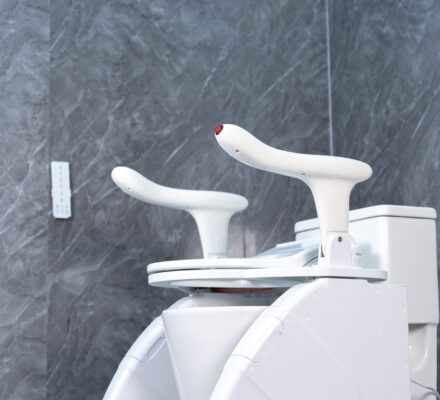 Wheelchair Accessible Elevating Bidet Toilet Seat